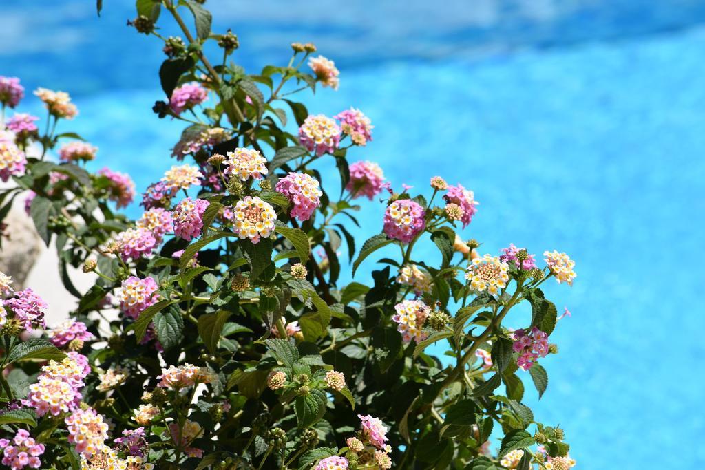 Affittacamere B&B La Villa Dei Graniti Villasimius Bagian luar foto